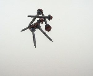 T17 50MM +S SCREW TMBR PKT1000-0